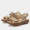 Bailee Woven Taupe Sandal -Alegria Shoes Shop BAI 6163 S1
