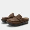 Shoes Brigid La Dee Dottie Brown Clog -Alegria Shoes Shop BRI 8117 S1 6e668731 fb03 4cf0 8637 7d609cb54da8