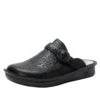 Shoes Bryn Dearest Clog -Alegria Shoes Shop BRN 7401 S1
