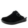 Shoes Bryn Black Clog -Alegria Shoes Shop BRN 7441 S1