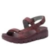 Henna Plum Sandal -Alegria Shoes Shop HEN 7433 S1